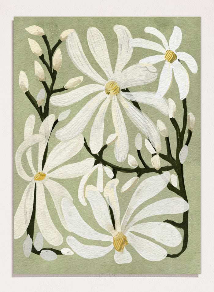 A botanical art print featuring white magnolia flowers with yellow centers and dark green stems on a muted sage green background. Shop Star Magnolia Floral Art Print by Katie O'Shea, a botanical floral art print featuring white magnolia blooms, dark branches, and a soft sage green background.