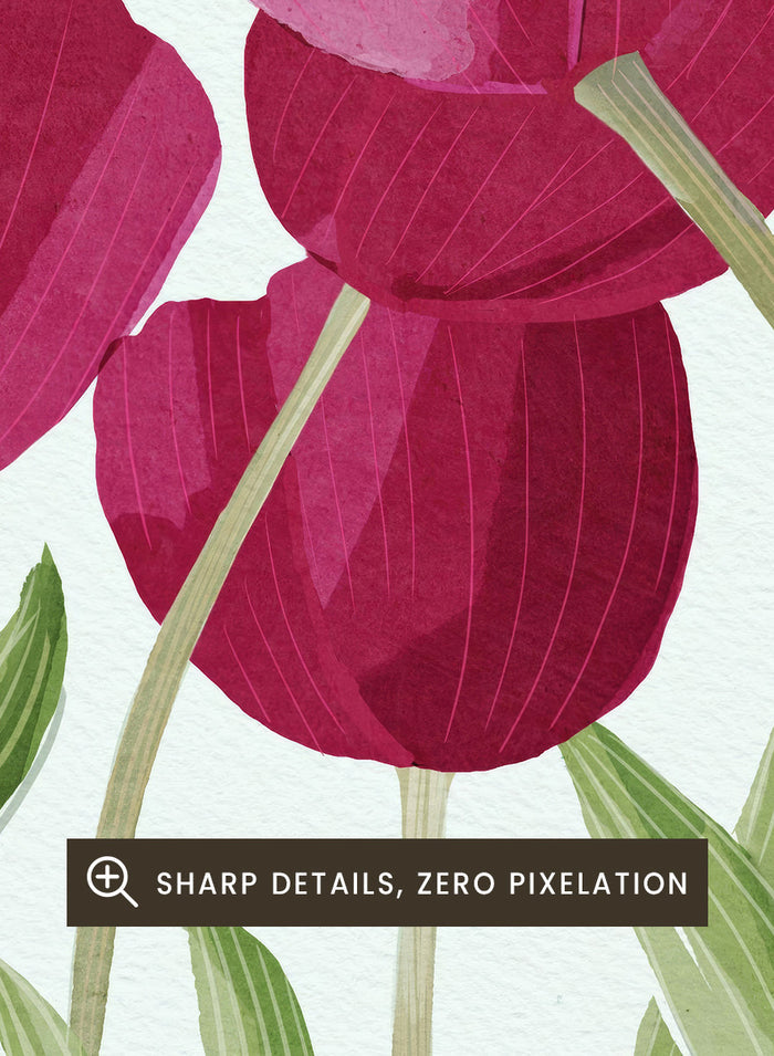A stylized floral illustration of pink tulips with green leaves on a white background. Shop Tulips Floral Art Print by Katie O'Shea, a botanical floral art print featuring deep pink tulips, tall green leaves, and fresh spring color.