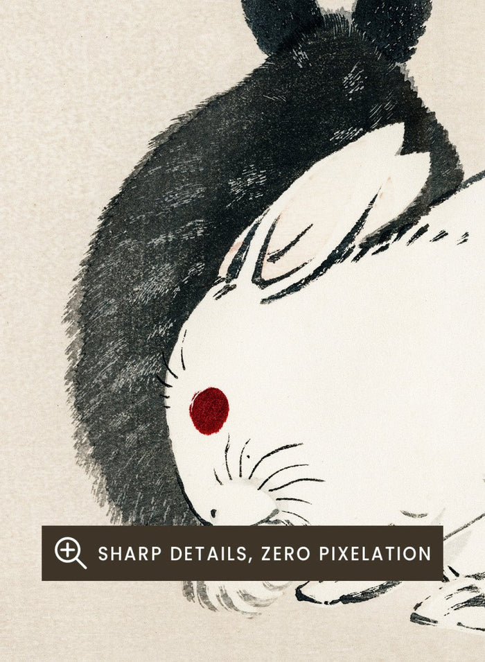 Kono Bairei "Black and White Rabbits" Art Print_Sugar & Canvas_Kono Bairei