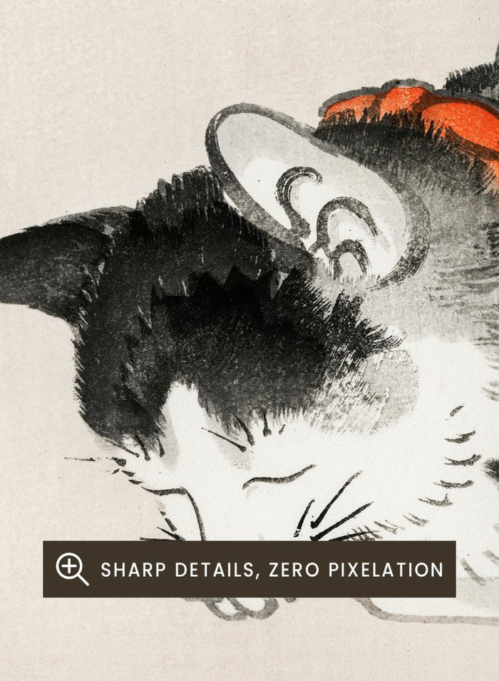 Kono Bairei "Sleeping Cat" Art Print_Sugar & Canvas_Kono Bairei