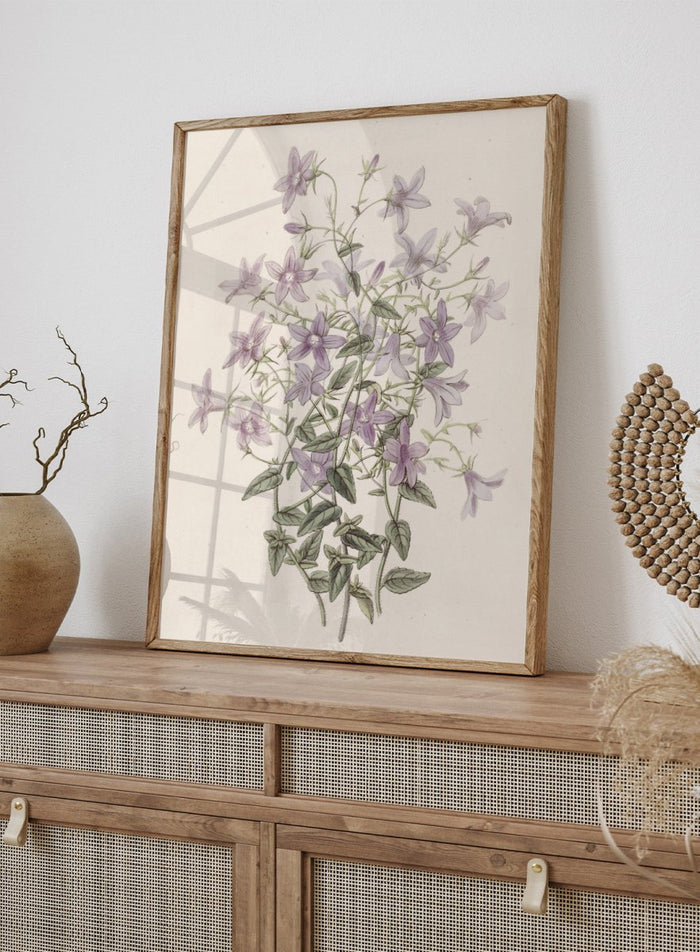 "Laefling’s Bellflower" Art Print_Sugar & Canvas_Sydenham Edwards