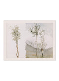 "Landscape Sketches" Art Print_Sugar & Canvas_Whitney Warren Jr.
