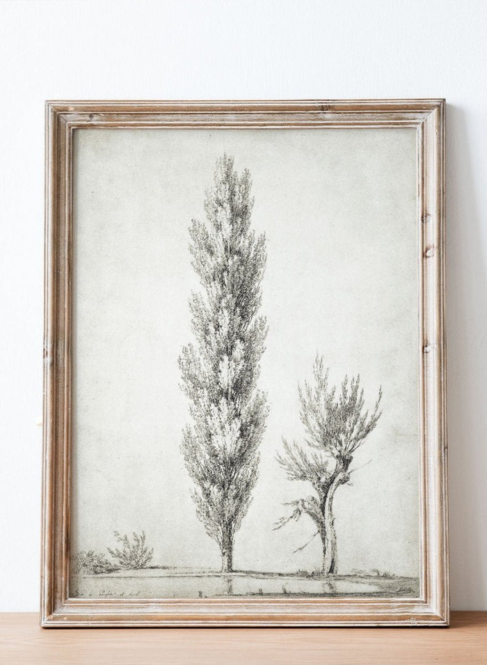 "Landscape with a Poplar and a Willow Tree" Art Print_Sugar & Canvas_Jean Victor Bertin
