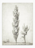"Landscape with a Poplar and a Willow Tree" Art Print_Sugar & Canvas_Jean Victor Bertin