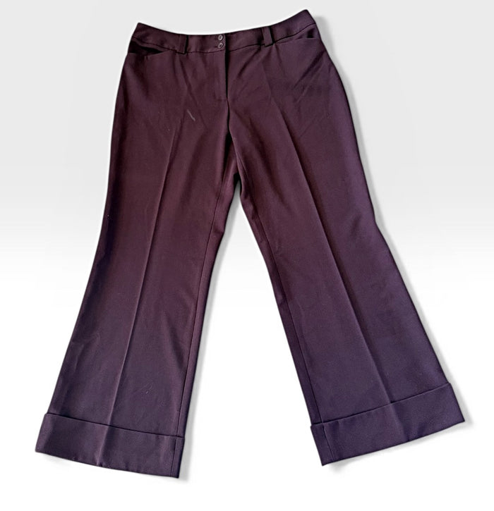 Lane Bryant Preowned great condition Size 16 Raisin Pants
