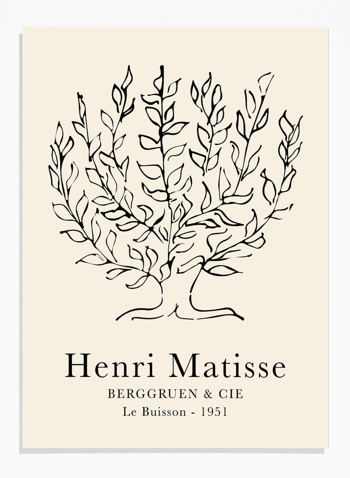 Le Buisson Tree Sketch 1951 by Henri Matisse Print
