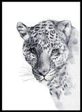 Leopard Safari Animal Art Print_Sugar & Canvas