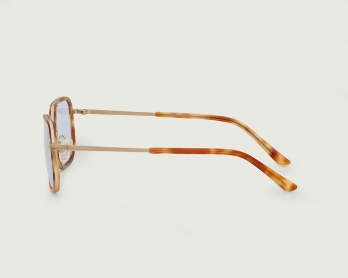Safari Tort::Levi Sunglasses round brown plastic side