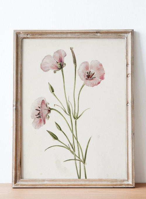 "Lilac Mariposa" Art Print_Sugar & Canvas_Mary Vaux Walcott