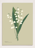 'Lily of the Valley' Aesthetic Art Print_Sugar & Canvas_Sugar & Canvas
