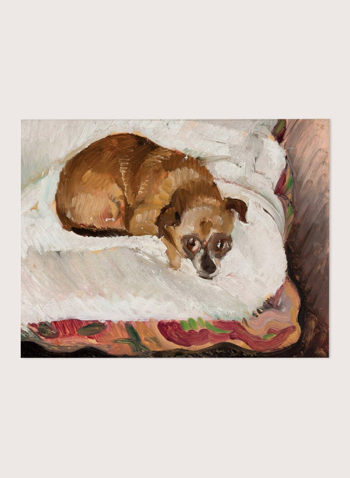 "Lying Dog" Art Print_Sugar & Canvas_Zygmunt Waliszewski