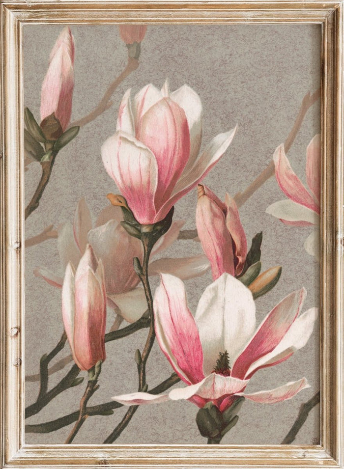 "Magnolia" Art Print_Sugar & Canvas_Louis Prang & Co