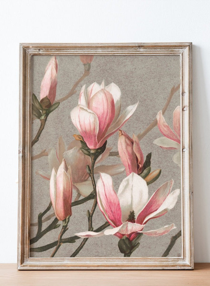 "Magnolia" Art Print_Sugar & Canvas_Louis Prang & Co