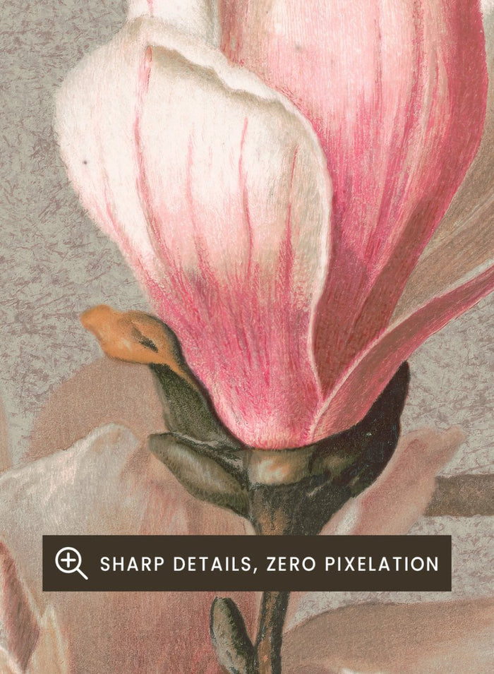 "Magnolia" Art Print_Sugar & Canvas_Louis Prang & Co