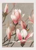 "Magnolia" Art Print_Sugar & Canvas_Louis Prang & Co