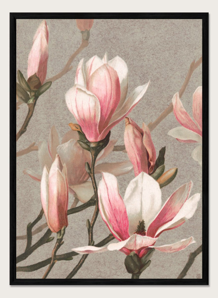 "Magnolia" Art Print_Sugar & Canvas_Louis Prang & Co
