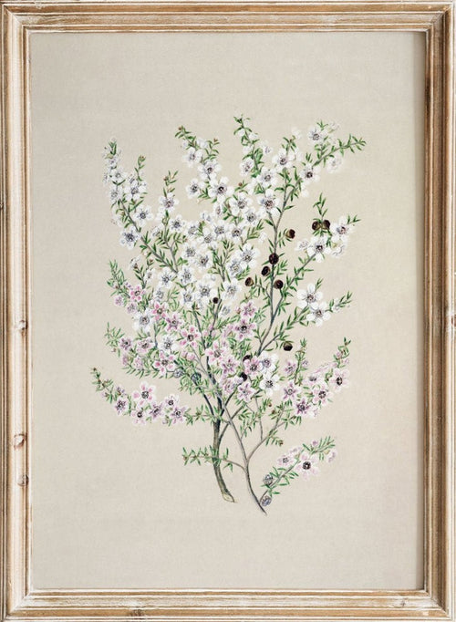 "Manuka" Art Print_Sugar & Canvas_Sarah Featon