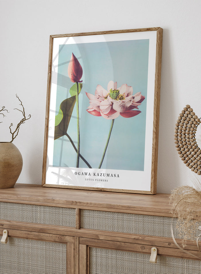 Ogawa Kazumasa Lotus Flowers Japanese Art Print OK01
