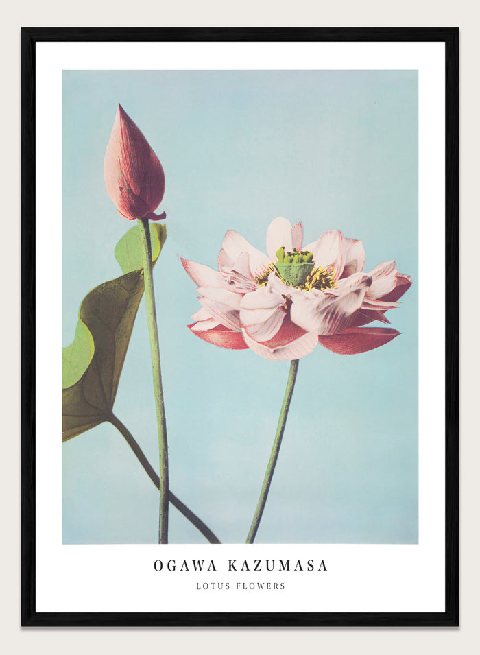 A4/8x12 inches (Framing Available) / Black Wood Frame