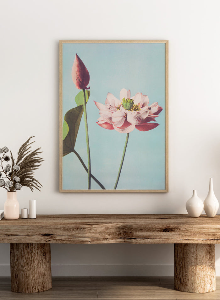 Ogawa Kazumasa Lotus Flowers Japanese Art Print OK01B