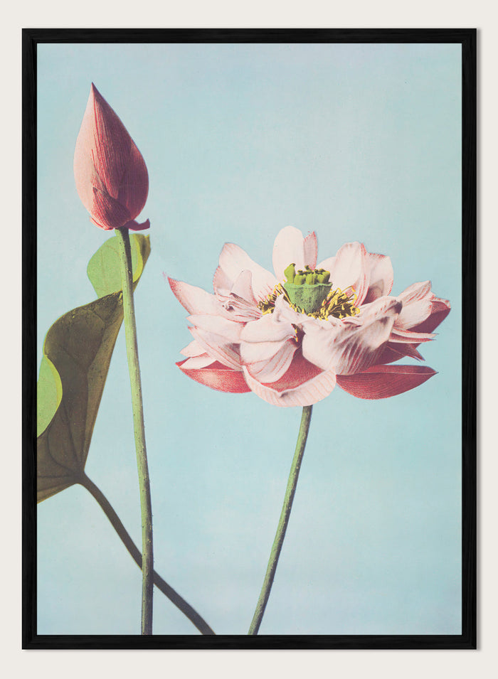 A4/8x12 inches (Framing Available) / Black Wood Frame