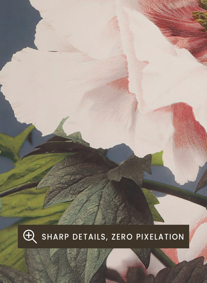 Ogawa Kazumasa Tree Peony Flowers Japanese Art Print OK02B