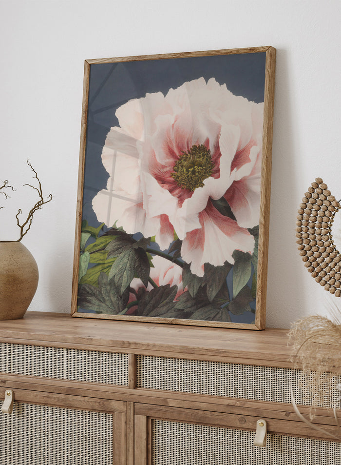 Ogawa Kazumasa Tree Peony Flowers Japanese Art Print OK02B