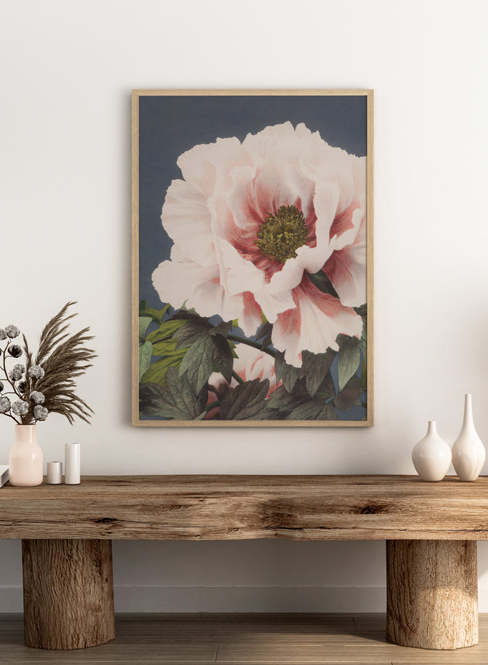 Ogawa Kazumasa Tree Peony Flowers Japanese Art Print OK02B