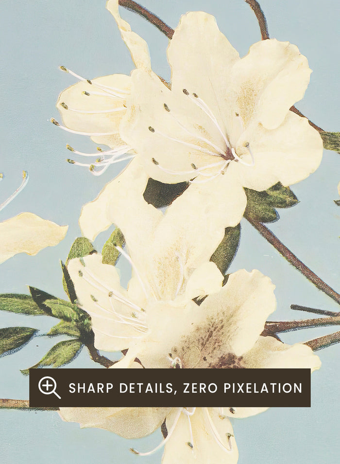 Ogawa Kazumasa White Azaleas Flowers Japanese Art Print OK04B