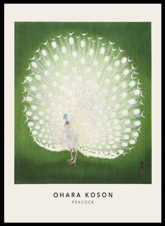 Ohara Koson "Peacock" Art Print_Sugar & Canvas_Ohara Koson