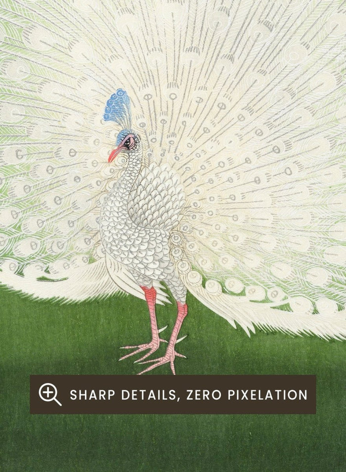 Ohara Koson "Peacock" Art Print_Sugar & Canvas_Ohara Koson