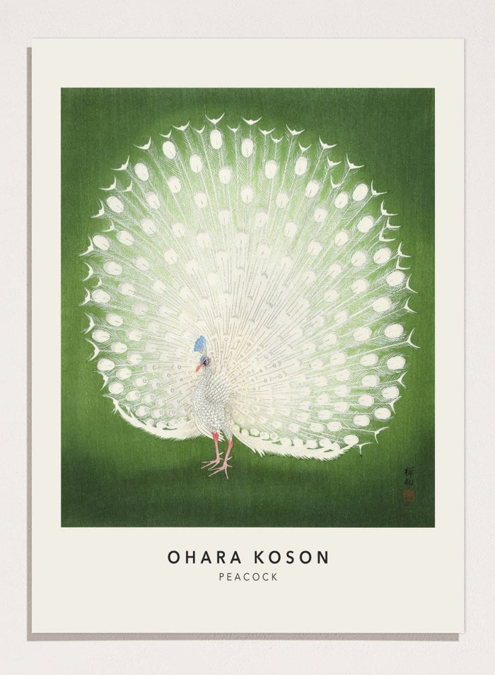 Ohara Koson "Peacock" Art Print_Sugar & Canvas_Ohara Koson