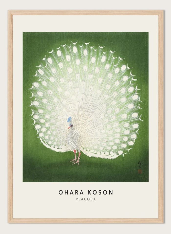 Ohara Koson "Peacock" Art Print_Sugar & Canvas_Ohara Koson