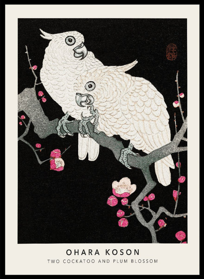 Ohara Koson " Two Cockatoo and Plum Blossom" Art Print_Sugar & Canvas_Ohara Koson