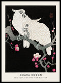 Ohara Koson " Two Cockatoo and Plum Blossom" Art Print_Sugar & Canvas_Ohara Koson