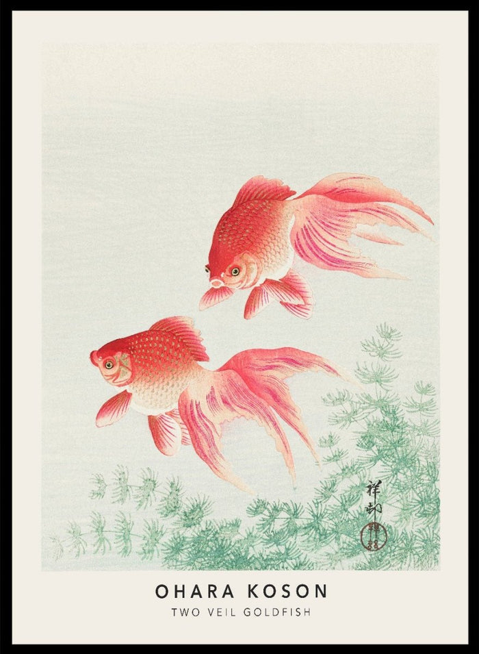 Ohara Koson "Two Veil Goldfish" Art Print_Sugar & Canvas_Ohara Koson