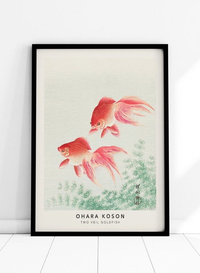 Ohara Koson "Two Veil Goldfish" Art Print_Sugar & Canvas_Ohara Koson