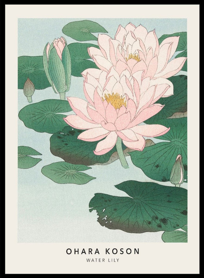 Ohara Koson "Water Lily" Art Print_Sugar & Canvas_Ohara Koson