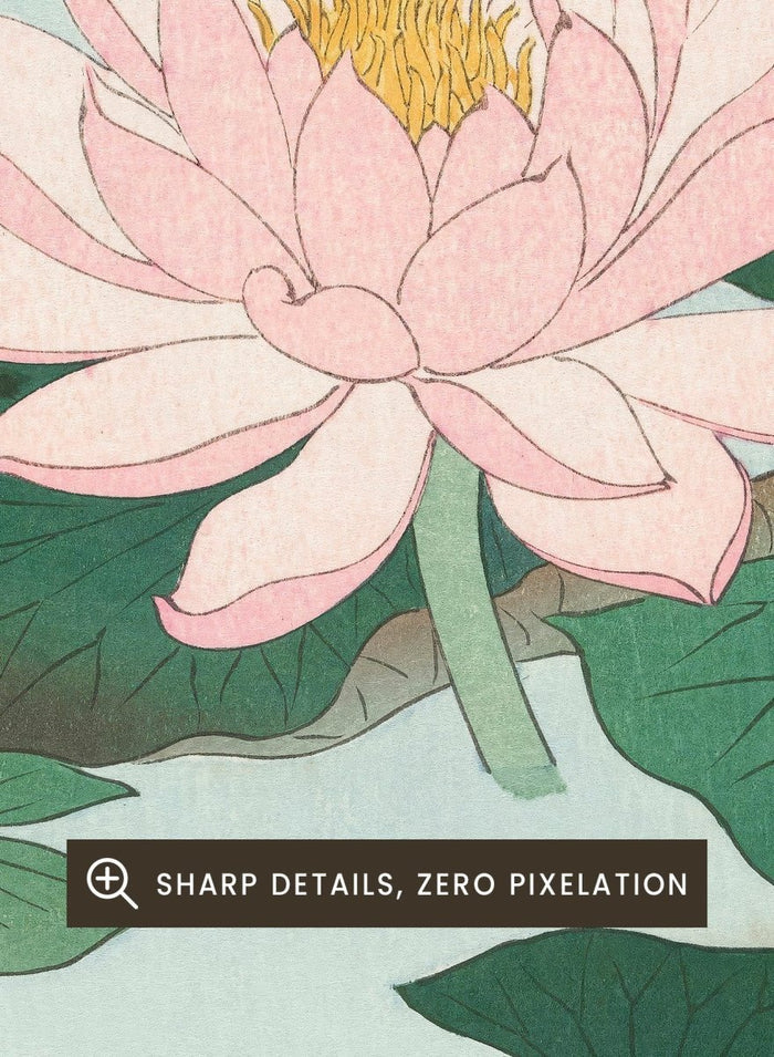 Ohara Koson "Water Lily" Art Print_Sugar & Canvas_Ohara Koson