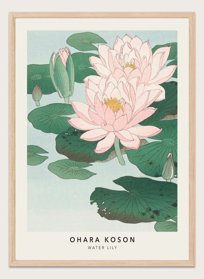 Ohara Koson "Water Lily" Art Print_Sugar & Canvas_Ohara Koson