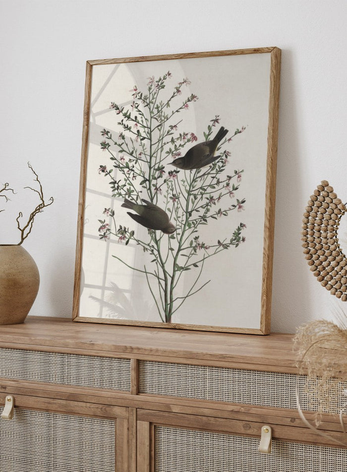 "Orange-crowned Warbler" Art Print_Sugar & Canvas_Robert Havell