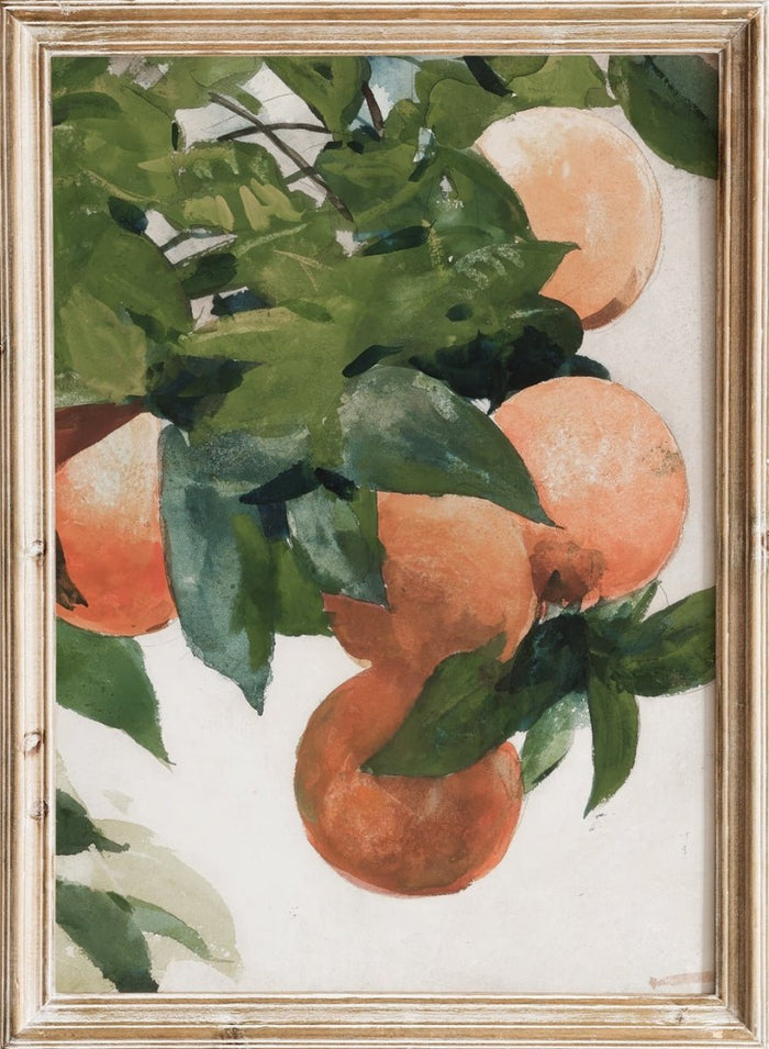 "Oranges on a Branch" Art Print_Sugar & Canvas_Winslow Homer