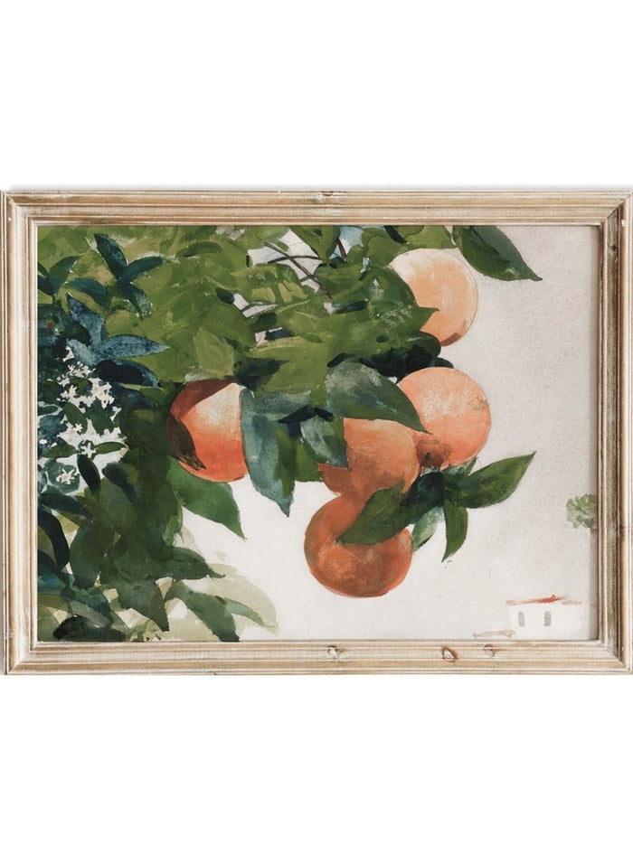 "Oranges on a Branch" Art Print_Sugar & Canvas_Winslow Homer