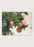 "Oranges on a Branch" Art Print_Sugar & Canvas_Winslow Homer