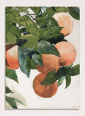 "Oranges on a Branch" Art Print_Sugar & Canvas_Winslow Homer