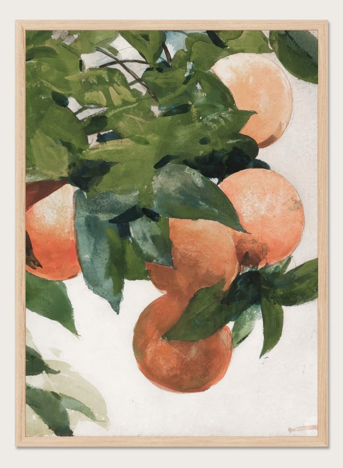 "Oranges on a Branch" Art Print_Sugar & Canvas_Winslow Homer
