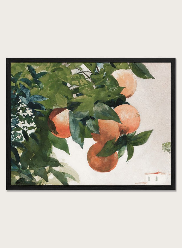"Oranges on a Branch" Art Print_Sugar & Canvas_Winslow Homer