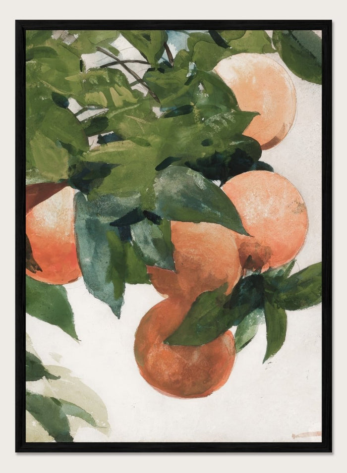 "Oranges on a Branch" Art Print_Sugar & Canvas_Winslow Homer