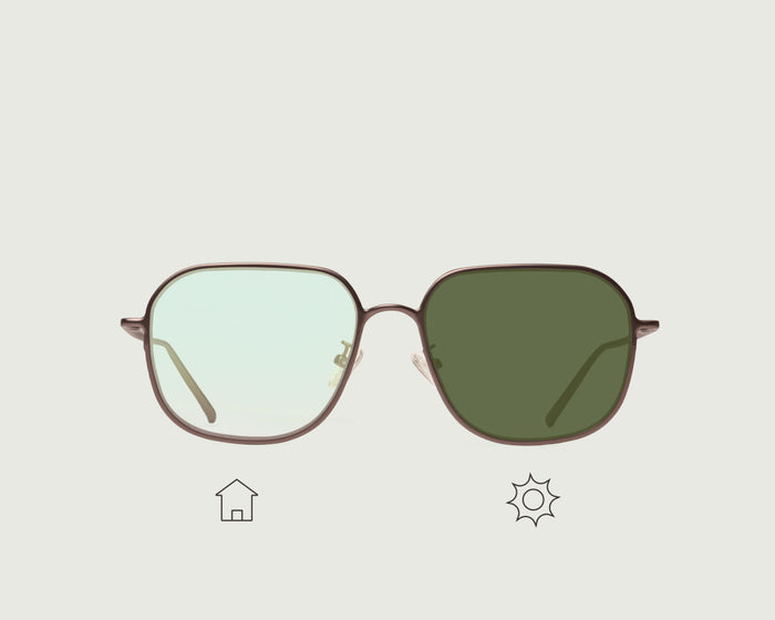 Gecko Adaptive::Pascal Eyeglasses square Brown metal front