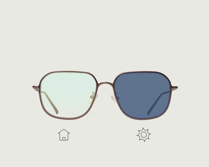 Robin Adaptive / Brown